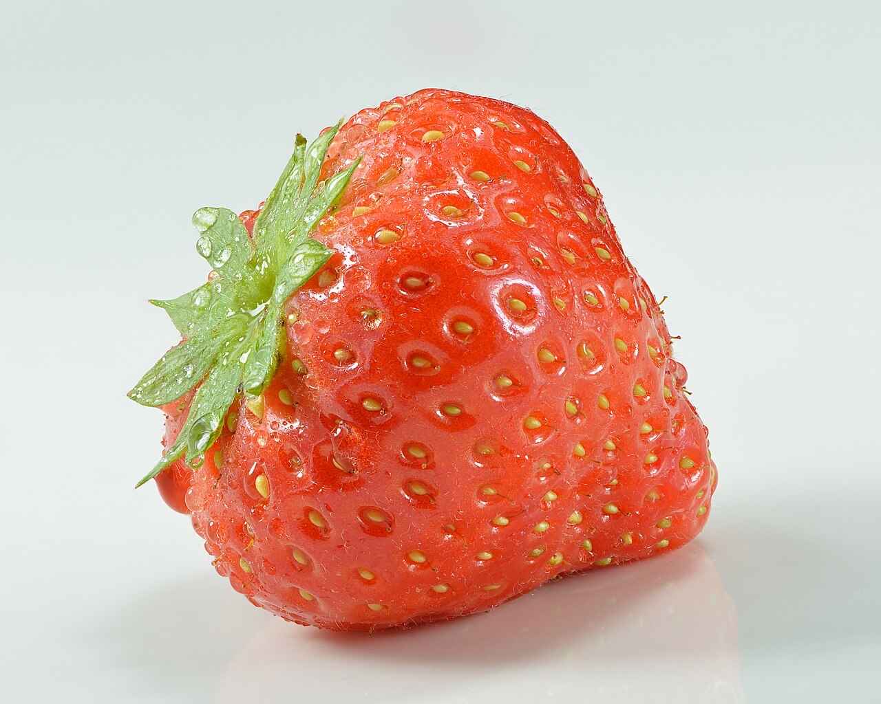Fraise (Fragaria × ananassa)