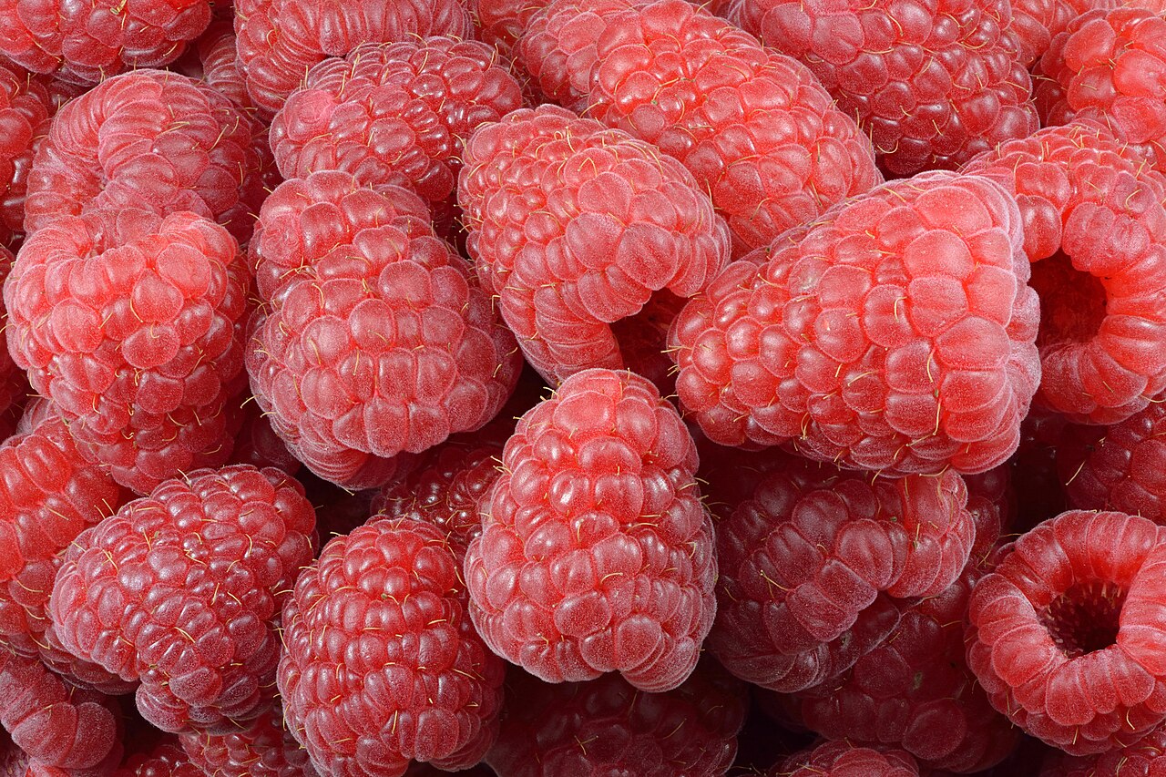 Framboise (Rubus idaeus)