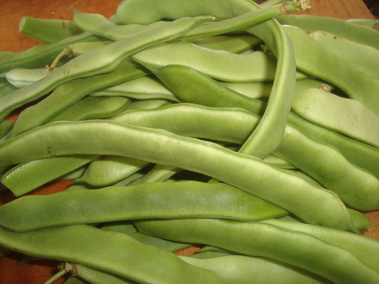 Haricot vert (haricot nain) (Phaseolus vulgaris)