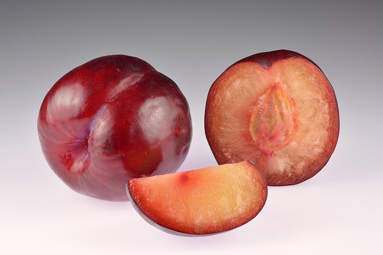 Prune (Prunus domestica)